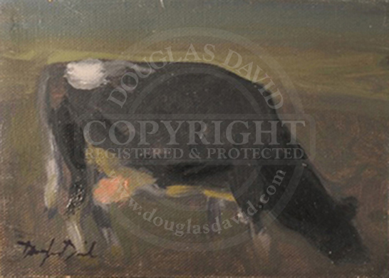 Cow, #0469