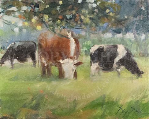 Grazing, #2447