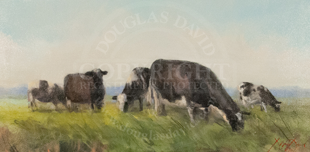 Cows, #4030