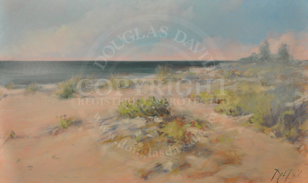 In the Dune, #2832