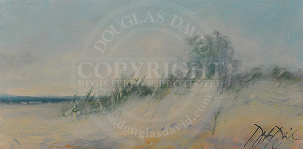 Dune Grasses, #2844