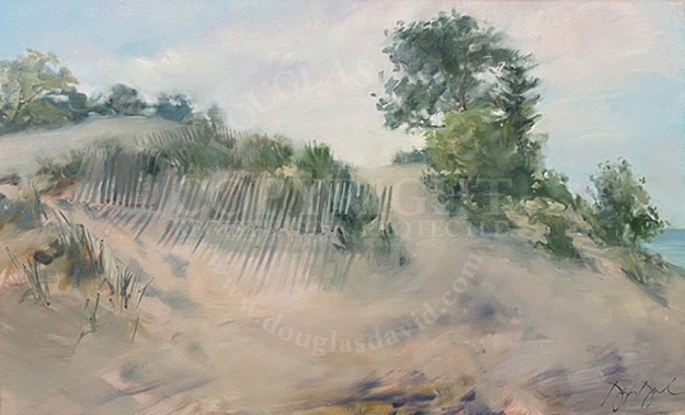Dune Fence, #3008