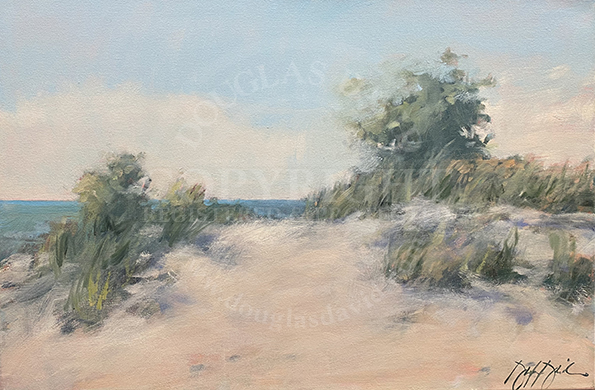 Beach Dunes, #4496